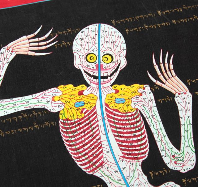 送料無料】 〔一点物〕タンカ チベット医学 人体経絡図 37x49cm / 仏画