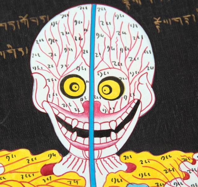 送料無料】 〔一点物〕タンカ チベット医学 人体経絡図 37x49cm / 仏画