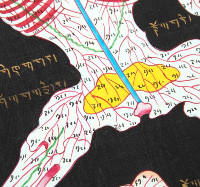 送料無料】 〔一点物〕タンカ チベット医学 人体経絡図 37x49cm / 仏画