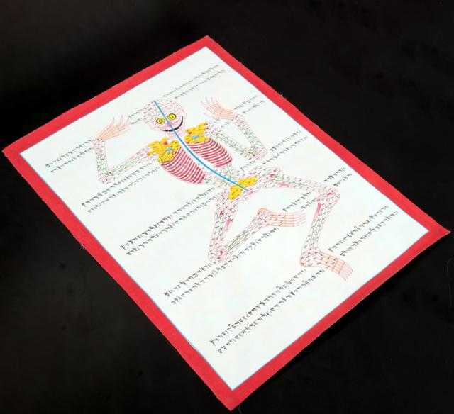 【送料無料】 〔一点物〕タンカ チベット医学 人体経絡図 37x48cm / 仏画 マンダラ 曼荼羅 手描き 曼陀羅 インド 本 印刷物 ステッカー ポストカード ポスター_2