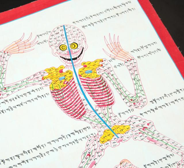 【送料無料】 〔一点物〕タンカ チベット医学 人体経絡図 37x48cm / 仏画 マンダラ 曼荼羅 手描き 曼陀羅 インド 本 印刷物 ステッカー ポストカード ポスター_3