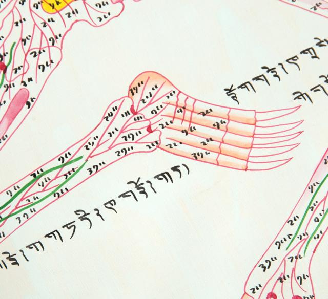 【送料無料】 〔一点物〕タンカ チベット医学 人体経絡図 37x48cm / 仏画 マンダラ 曼荼羅 手描き 曼陀羅 インド 本 印刷物 ステッカー ポストカード ポスター_8