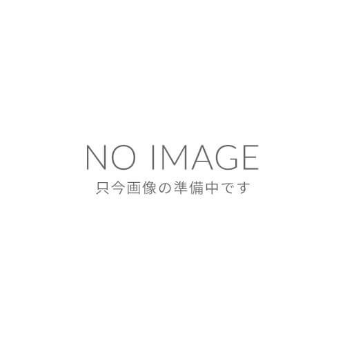 リーデル VINOM ヴィノム 6416/8 シャンパーニュ×2脚セット シャンパングラス フルート型の通販は