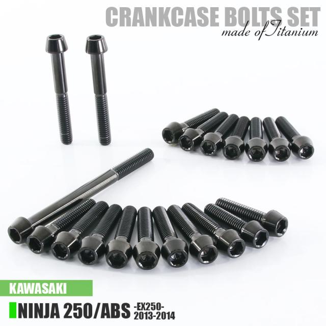 チタンボルト カワサキ Ninja250/ABS専用 ニンジャ250 EX250 2013-2014 クランクケース エンジンカバー ボルト セット 20本 ブラック ネジ
