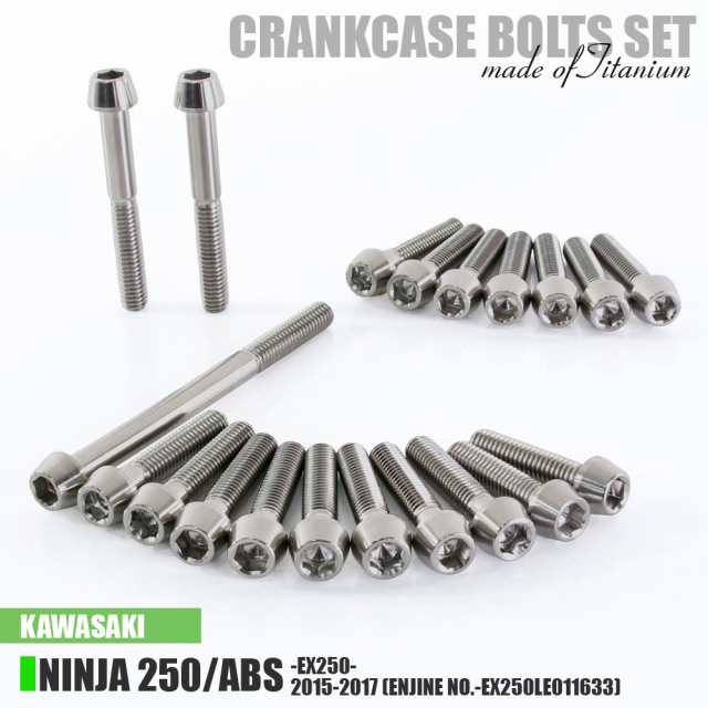 チタンボルト カワサキ Ninja250/ABS専用 ニンジャ250 EX250 2015-2017(- EX250LE011633) クランクケース エンジンカバー 20本 シルバーの通販は