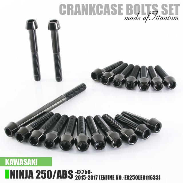 チタンボルト カワサキ Ninja250/ABS専用 ニンジャ250 EX250 2015-2017(- EX250LE011633) クランクケース エンジンカバー 20本 ブラック