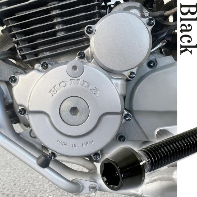 チタンボルト ヤマハ WR250R WR250X専用 3D7 クランクケース エンジンカバー ボルト セット 31本 焼き色 軽量化 カスタム ネジ レストア_4