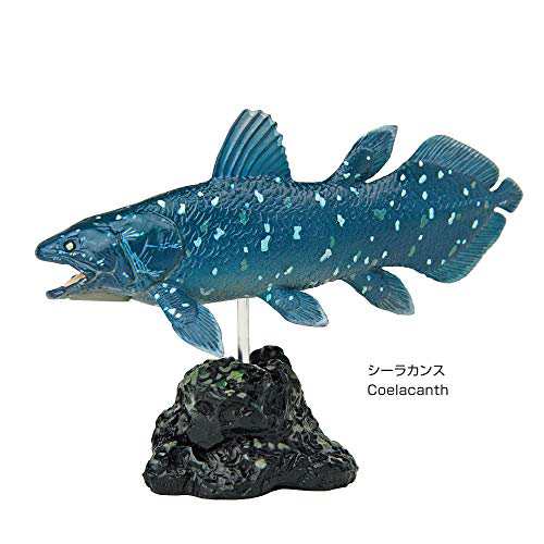 カロラータ 立体図鑑 リアルフィギュアボックス (古代魚 / 7種