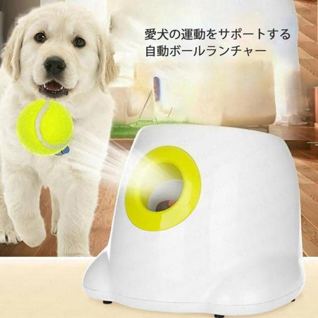 犬用 ボールランチャー 自動 投球機 ペットおもちゃ テニスボール 3個付き トレーニング 運動不足 ストレス解消 わんちゃん ペット用品 投げるおもちゃ (ホワイ_1