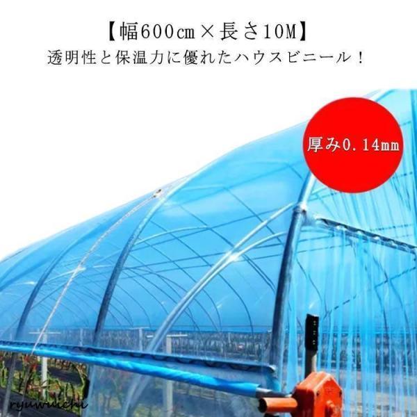農業用ビニール 長さ10m ビニールハウス 園芸用 厚み0.14mm 屋根ビニール 農ビ 農業用ハウス 農園 農PO 屋根用ハウスビニール 幅600c_5