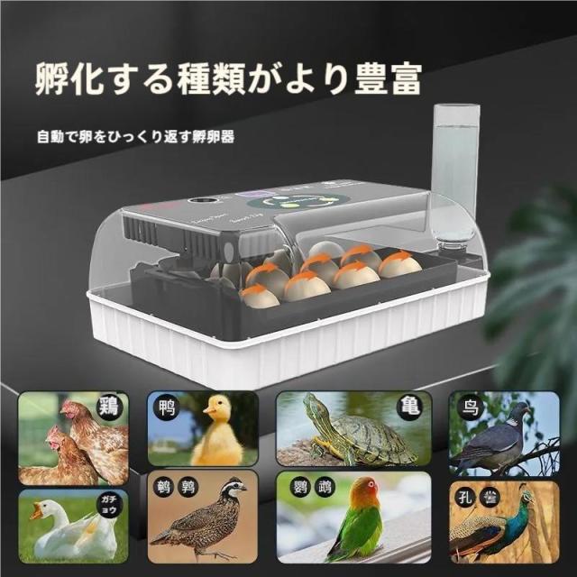 自動孵卵器インキュベーター鳥類専用ふ卵器鶏にわとりウズラあひる株式