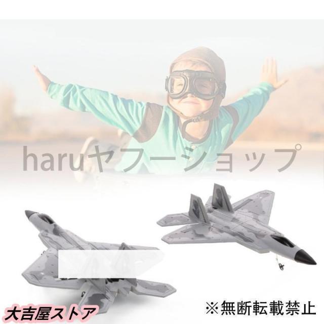 ラジコン RC 飛行機 F-22 ラプターモデル飛行機 戦闘機 2CH EPP 2.4g 固定翼 おもちゃ ギフト_1