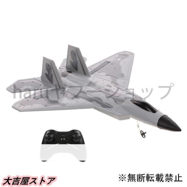 ラジコン RC 飛行機 F-22 ラプターモデル飛行機 戦闘機 2CH EPP 2.4g 固定翼 おもちゃ ギフト_2