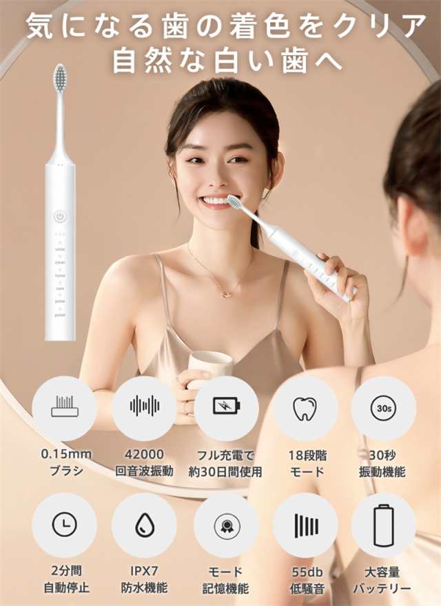 電動歯ブラシ 音波歯ブラシ 替えブラシ 充電式 IPX7防水 静音 歯磨き 歯垢 歯石除去 口臭対策 携帯 強力 電動歯ブラシ本体