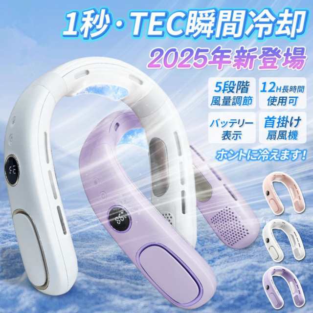 ネッククーラー 冷却プレート付き 首掛け扇風機 半導体冷却 羽根なし 扇風機 静音 ネックファン 5段階風量 節電 熱中症対策 屋外 プレゼント