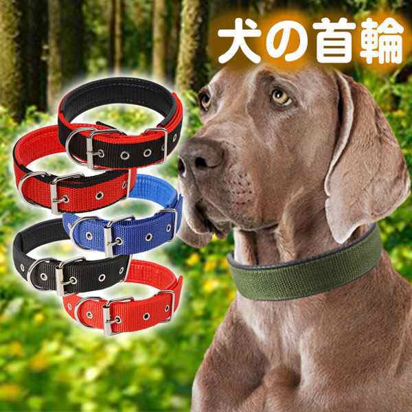 犬 首輪 犬用 おしゃれ 痛くない 軽い ソフトパッド メッシュ 丈夫 イージーウォークカラー チョーカー 蛍光 カラー かっこいい ドッグ y10