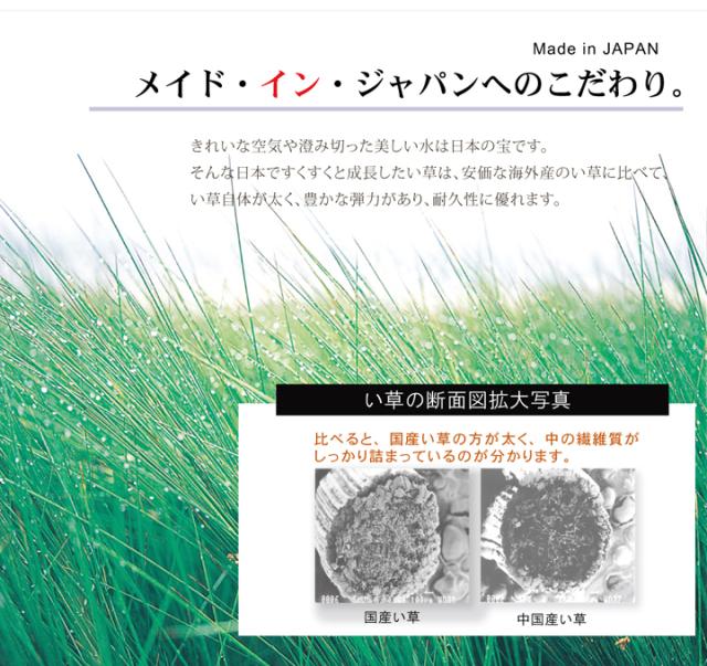 い草ラグ DXオーディーン (I) 約191×191cm 抗菌 防臭効果 夏ラグ 日本製 三重織 アラベスク模様 不織布貼り 引っ越し 新生活_2
