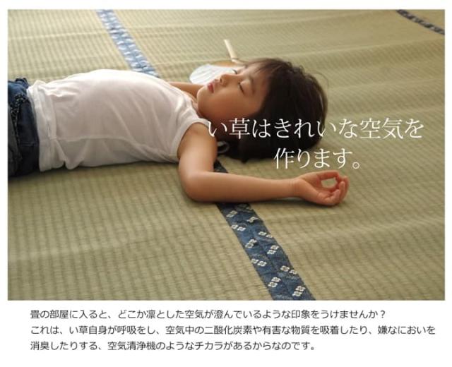 梅花 (I) 純国産 い草 上敷き カーペット 糸引織 『梅花』 本間8畳(約382×382cm）_9