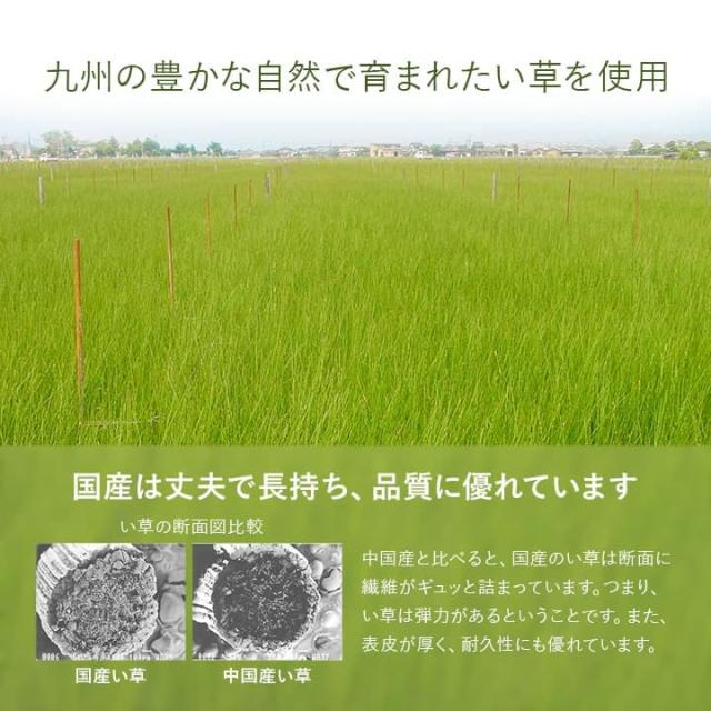 あぐら U畳P (I) 置き畳 半畳 国産 い草 簡単 和室 約82×82cm 12枚組_2