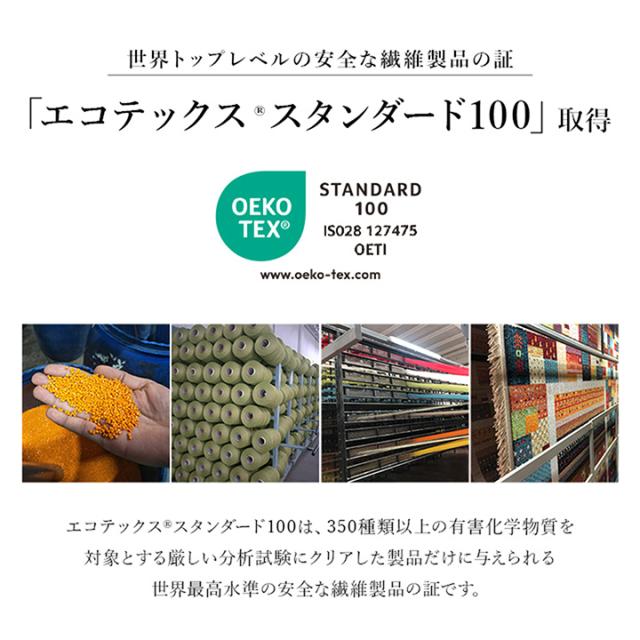アルスラーン (I) 玄関 マット トルコ製 ウィルトン 織り クラシカル柄 上品 繊細 立体感 超高目付 肌触り柔らか 抗菌防臭 消臭 丈夫 へたりにくい 約70×120cm 母の日_4