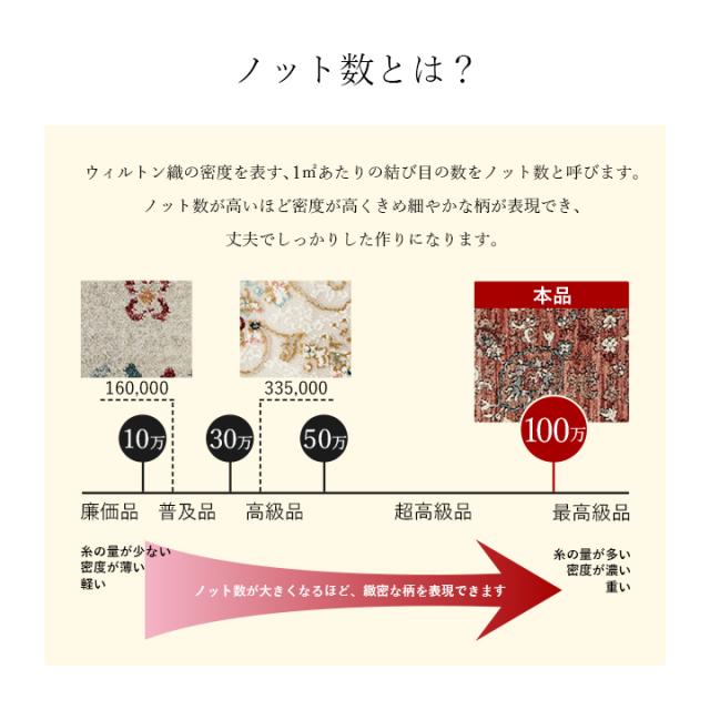 アルスラーン (I) 玄関 マット トルコ製 ウィルトン 織り クラシカル柄 上品 繊細 立体感 超高目付 肌触り柔らか 抗菌防臭 消臭 丈夫 へたりにくい 約70×120cm 母の日_6