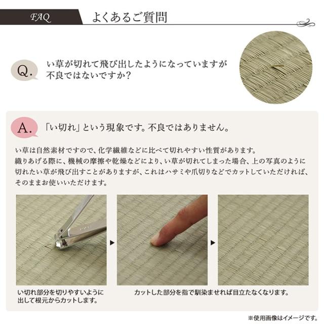 DXランクス 廊下敷 (I) 廊下 敷 敷き 国産 純国産 日本製 い草 抗菌防臭 モダン 自然素材 不織布 約80×340cm 母の日_15