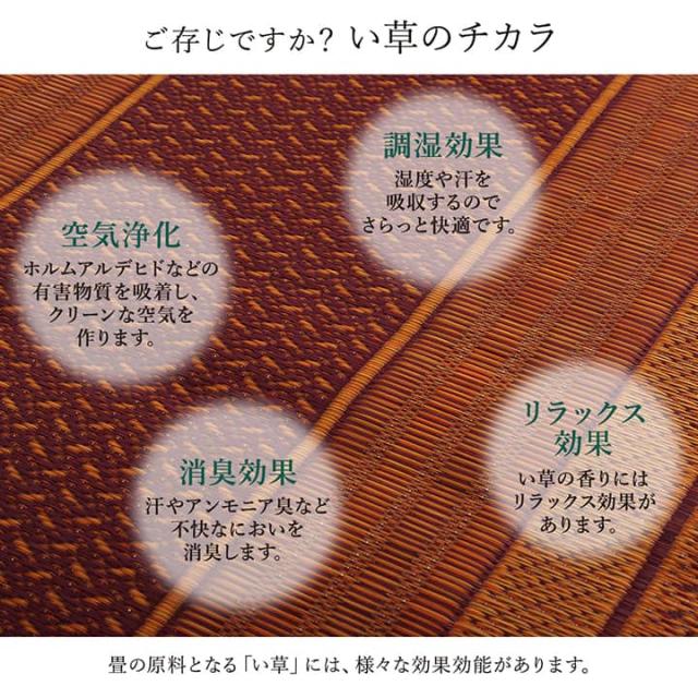 DXランクス 廊下敷 (I) 廊下 敷 敷き 国産 純国産 日本製 い草 抗菌防臭 モダン 自然素材 不織布 約80×340cm 母の日_8