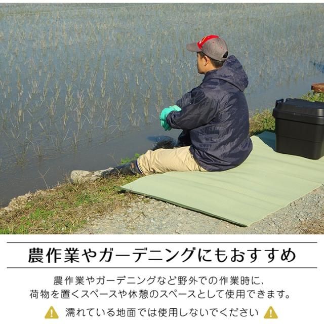 農場 (I) 引っ敷き 洗える 日本製 国産 アウトドア 余暇 アウトドア 和室 分かりやすい 日本の首都間4.5畳(約261×261糎)