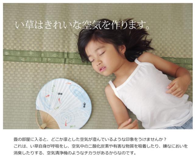 F不知火 (I) フリーカット い草 上敷き カーペット 『F不知火』 三六間6畳(約273×364cm）(裏:ウレタン張り）_9