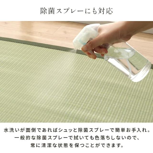 五木 四方 (I) 洗える ござ 日本製 国産 カーペット 丈夫 除菌スプレー対応 敷詰 ラグ 敷物 ペット 無地 江戸間8畳（約348×352cm）_10