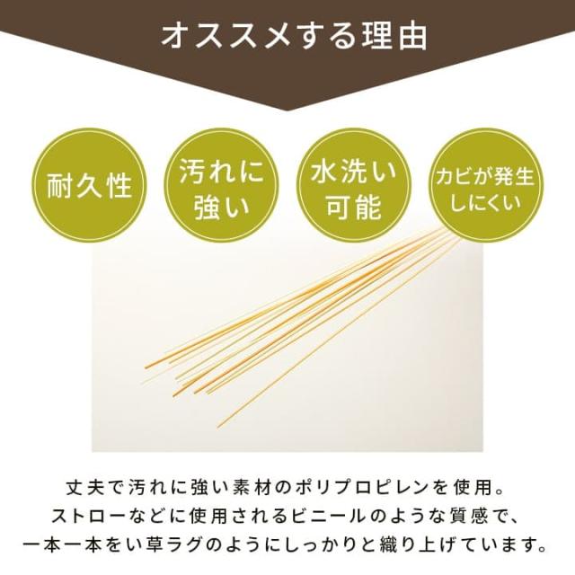 五木 四方 (I) 洗える ござ 日本製 国産 カーペット 丈夫 除菌スプレー対応 敷詰 ラグ 敷物 ペット 無地 江戸間8畳（約348×352cm）_3