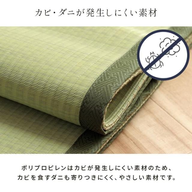 五木 四方 (I) 洗える ござ 日本製 国産 カーペット 丈夫 除菌スプレー対応 敷詰 ラグ 敷物 ペット 無地 江戸間8畳（約348×352cm）_8