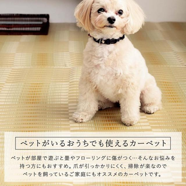 日和 (I) 洗える ござ 日本製 国産 カーペット 丈夫 除菌スプレー対応 敷詰 ラグ 敷物 アウトドア レジャー ペット 江戸間6畳（約261×352cm） 母の日_1