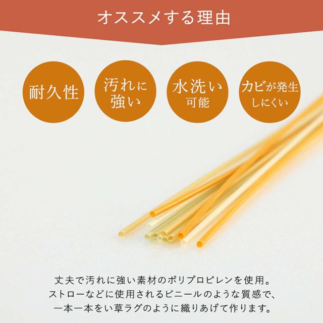 日和 (I) 洗える ござ 日本製 国産 カーペット 丈夫 除菌スプレー対応 敷詰 ラグ 敷物 アウトドア レジャー ペット 江戸間6畳（約261×352cm） 母の日_2