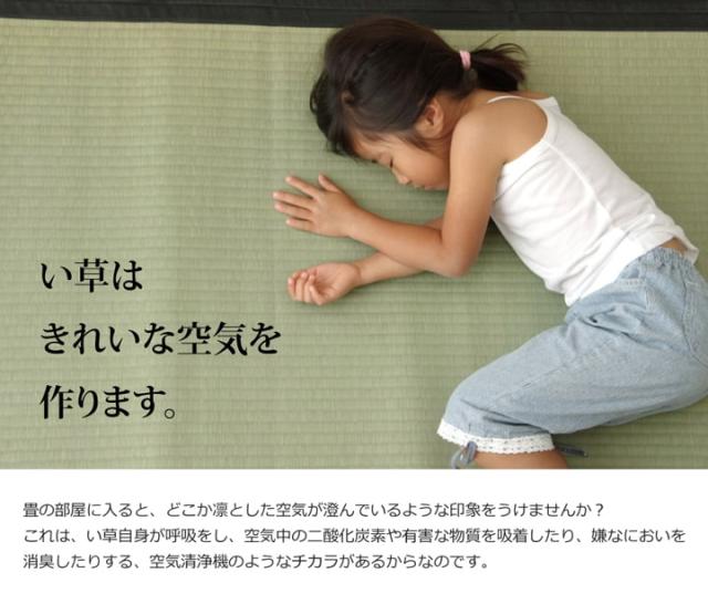 清正 (I) 純国産 い草 上敷き カーペット 麻綿織 『清正』 江戸間6畳(約261×352cm） 熊本県八代産イ草使用 母の日_11