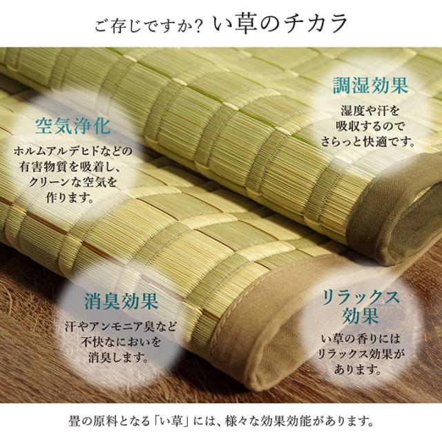 松川 (I) 純国産 掛川織 花ござ い草 敷物 カーペット 江戸間8畳 (約348×352cm)_2