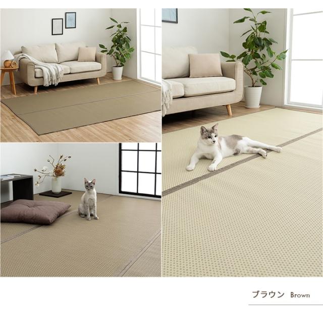 ミーサ (I) 洗える ござ 日本製 国産 引っ敷き リヴァーシブル 思わしい 除菌吹きつける相応う 敷詰 引っ敷き 床材 愛玩動物 日本の首都間2畳（約174×174糎）