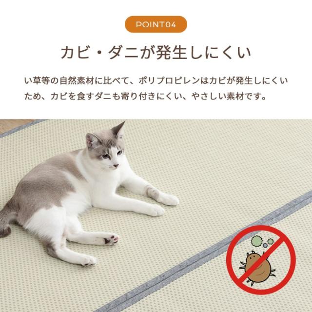 ミーサ (I) 洗える ござ 日本製 国産 引っ敷き リヴァーシブル 思わしい 除菌吹きつける相応う 敷詰 引っ敷き 床材 愛玩動物 日本の首都間2畳（約174×174糎）