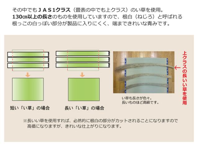 西陣 (I) 純国産 減農薬栽培 い草 上敷き カーペット 糸引織 『西陣』 六一間6畳(約277×370cm） 熊本県八代産イ草使用