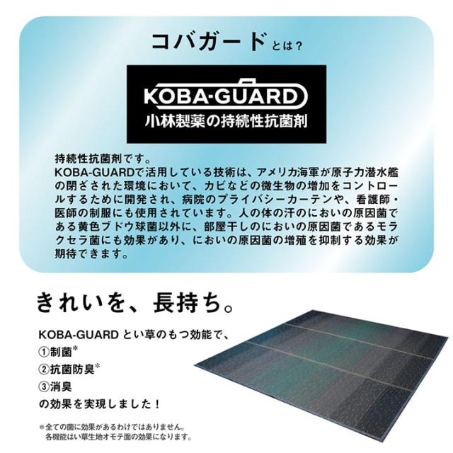 NSせつ然たる (I) 引っ敷き 小林製薬 守りつづける性抗菌剤 KOBA-GUARD 制菌 抗菌防臭 上滑り打ちきり 不織布 夏 い草 グラデーション 約190×300糎