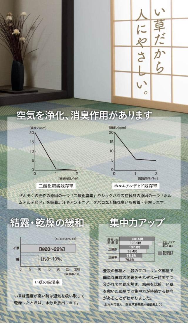 ピーア (I) い草ラグ 花ござ カーペット ラグ 3畳 格子柄 市松柄 『ピーア』 江戸間3畳 (約174×261cm）_3