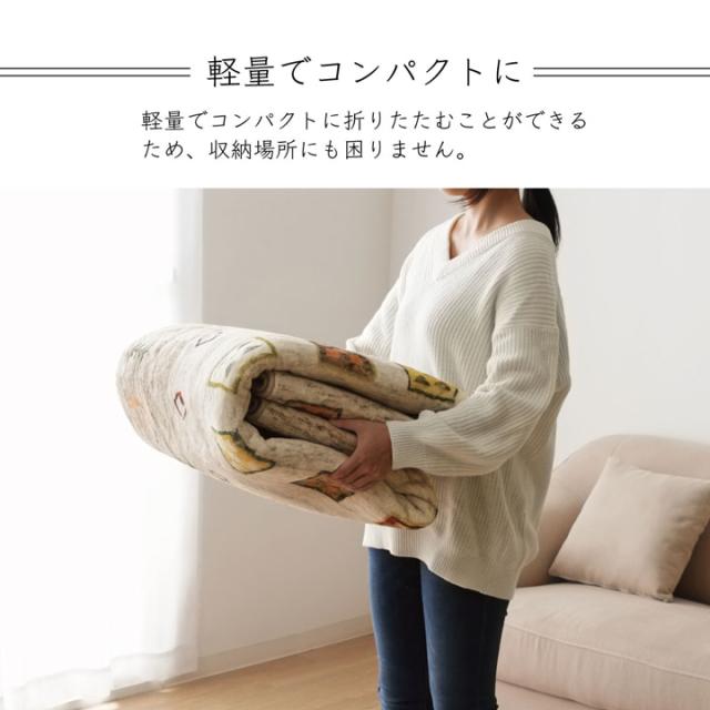 ラーズ (I) 引っ敷き 矩形 オール時季 洗える 他愛もない パウダーコンパクト ギャベ柄 約200×250糎 熱っぽい引っ敷き相応う パステル色の ベージュ