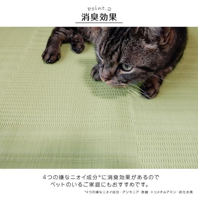 リリーフ (I) ラグ 洗える カーペット 日本製 国産 抗菌 防臭 消臭 アウトドア レジャー 敷物 和室 シンプル 江戸間6畳(約261×352cm)_3