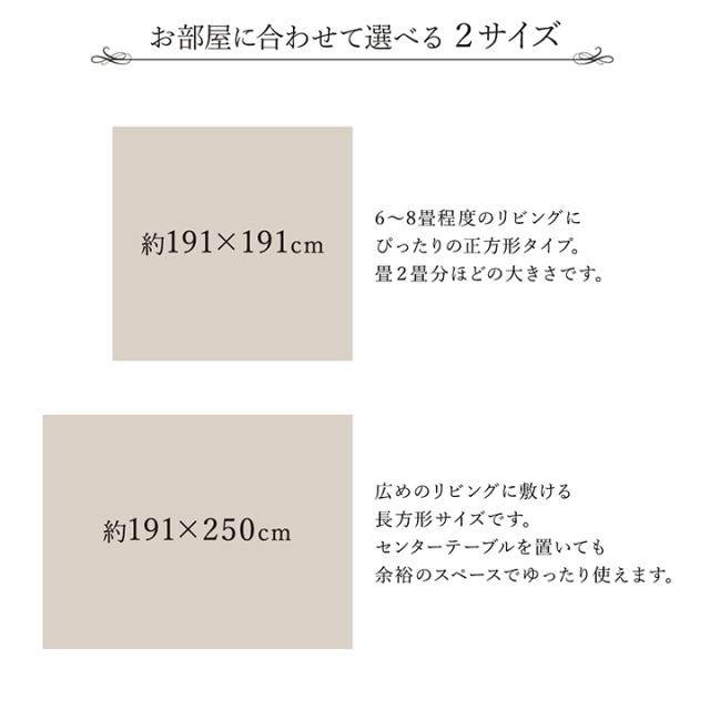 Fレヴィン (I) ラグ い草 モダン 純国産 国産 日本製 ウレタン 抗菌防臭 自然素材 ナチュラル 約191×191cm_12