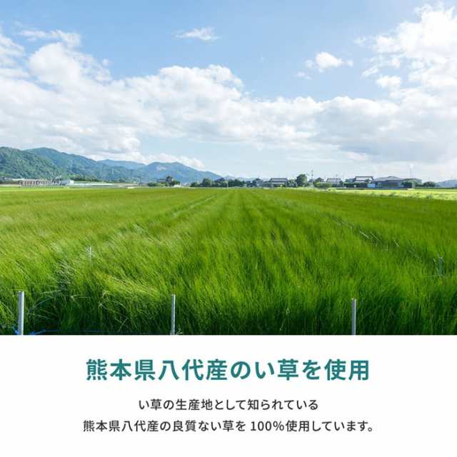 ラグ い草 上敷き ござ 畳 日本製 敷物 夏用 本間 六畳 6畳 6帖 約286