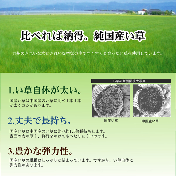 純国産 い草敷物 夏用 梅花上敷 (I) 八畳 8畳 8帖 約352×352cm 糸引織 日本製 ラグ 梅柄 うめ 青森ヒバ 引っ越し 新生活_2