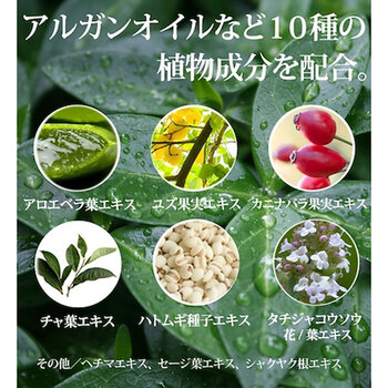 プロステージ ボタニカル オールインワンローション フォーメン 300mL 3個セット 送料無料_2