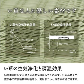 カーペット 純国産 い草 本間2畳(約191×191cm) 上敷き カーペット 格子柄 グラッセ 送料無料_6