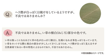 ラグ い草 約191×250cm モダン 純国産 国産 日本製 ウレタン 抗菌防臭 自然素材 Fレヴィン 送料無料_9