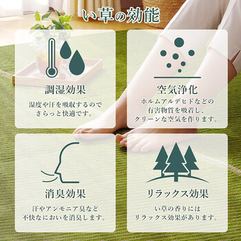 ラグ い草 約191×191cm 国産 純国産 日本製 シンプル 無地風 抗菌防臭 自然素材 ウレタン Fソリッド 送料無料_1